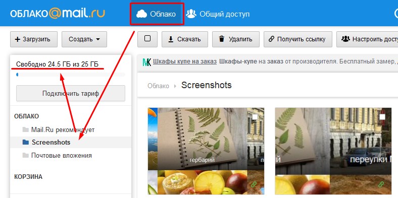 скриншотер от mail.ru