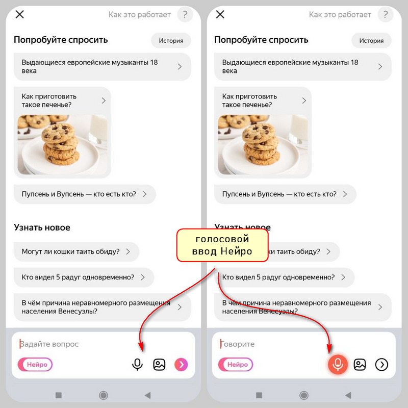 Новый сервис Нейро от Яндекса: как включить, где найти кнопку, как пользоваться