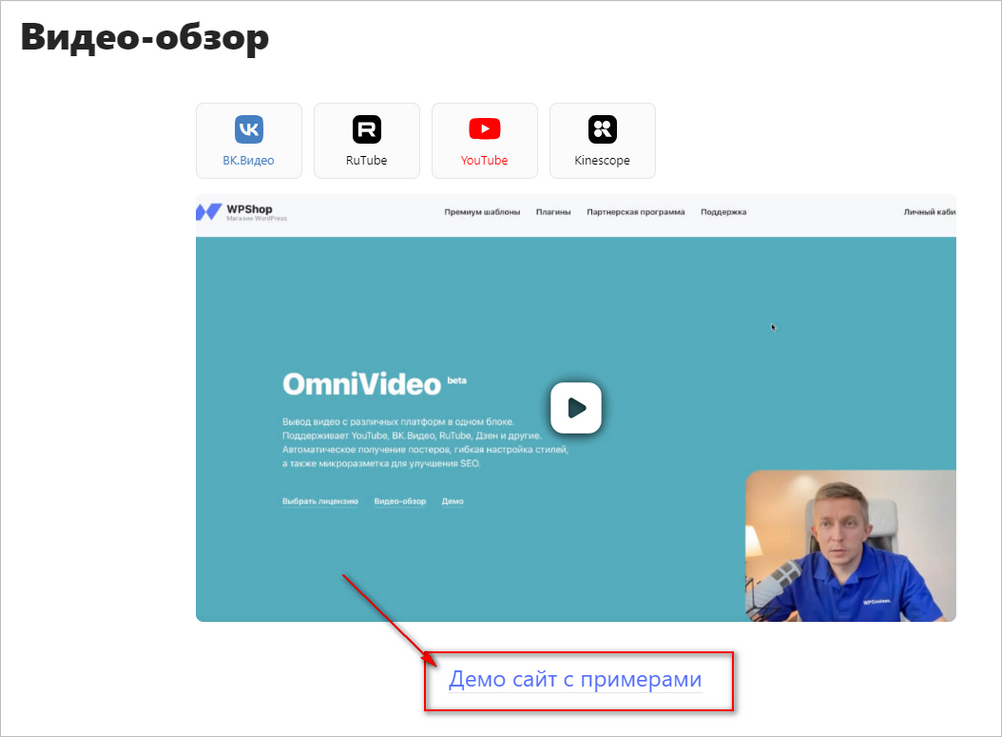 видеообзор OmniVideo