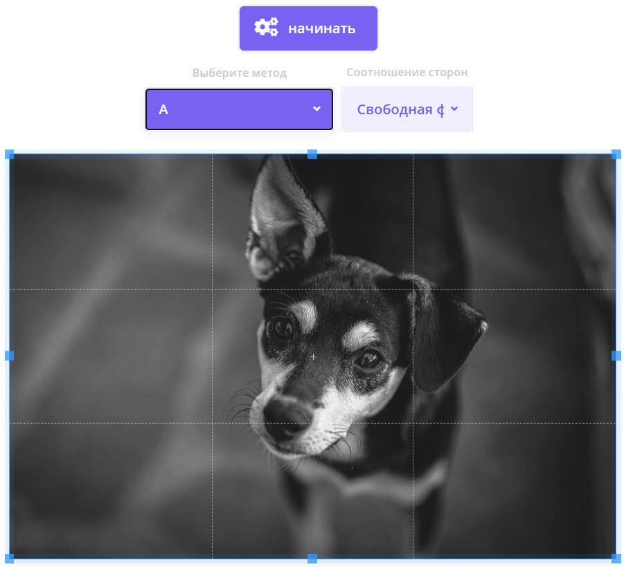 раскраска фотографии